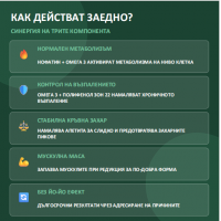 Комплект за здравословно отслабване- Doctor Nature- Нофатин+Ултра ОМЕГА+Полифенол зоон